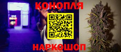 сатива Будённовск