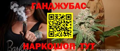 сатива Будённовск