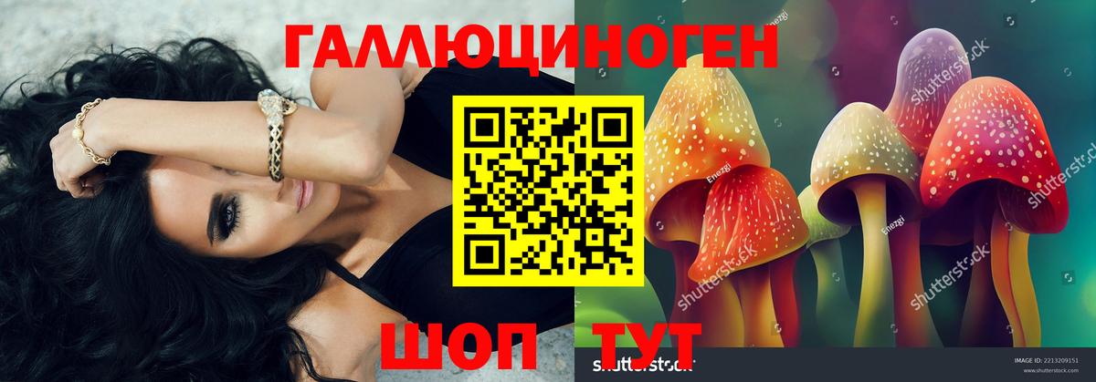 Галлюциногенные грибы Psilocybe  Вход с VPN  Саки  Галлюциногенные грибы мухоморы 