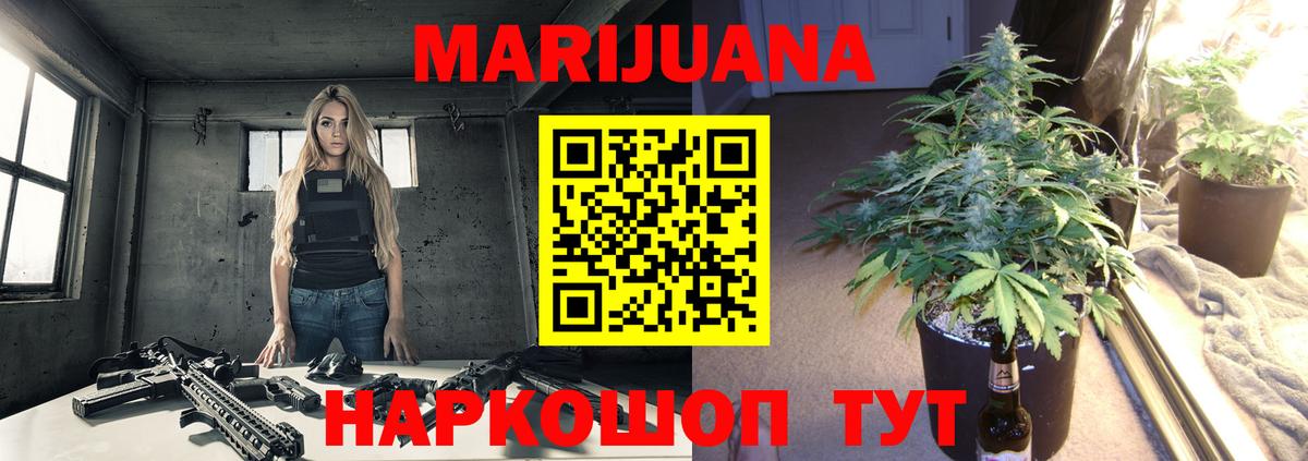 Канабис ГИДРОПОН Саки